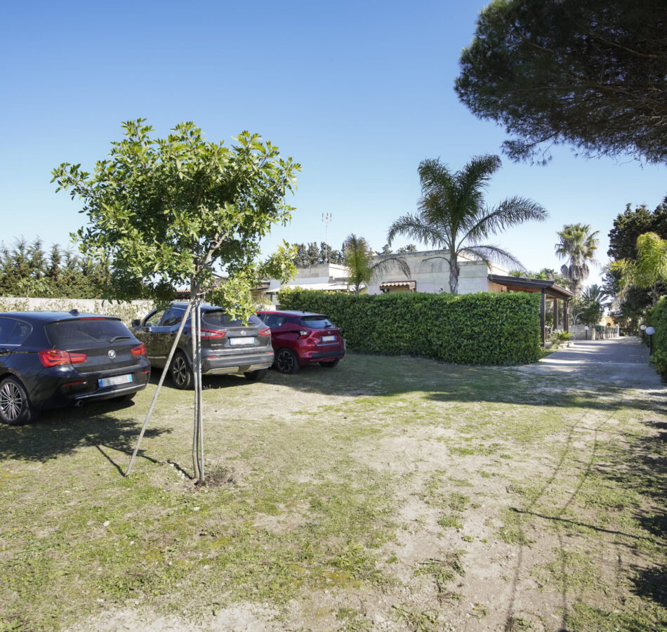 Giardino